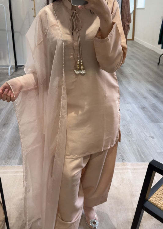 Mahnoor - Nude Pink